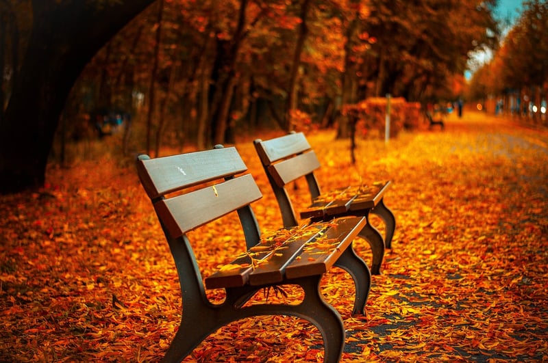 Mindful Walking